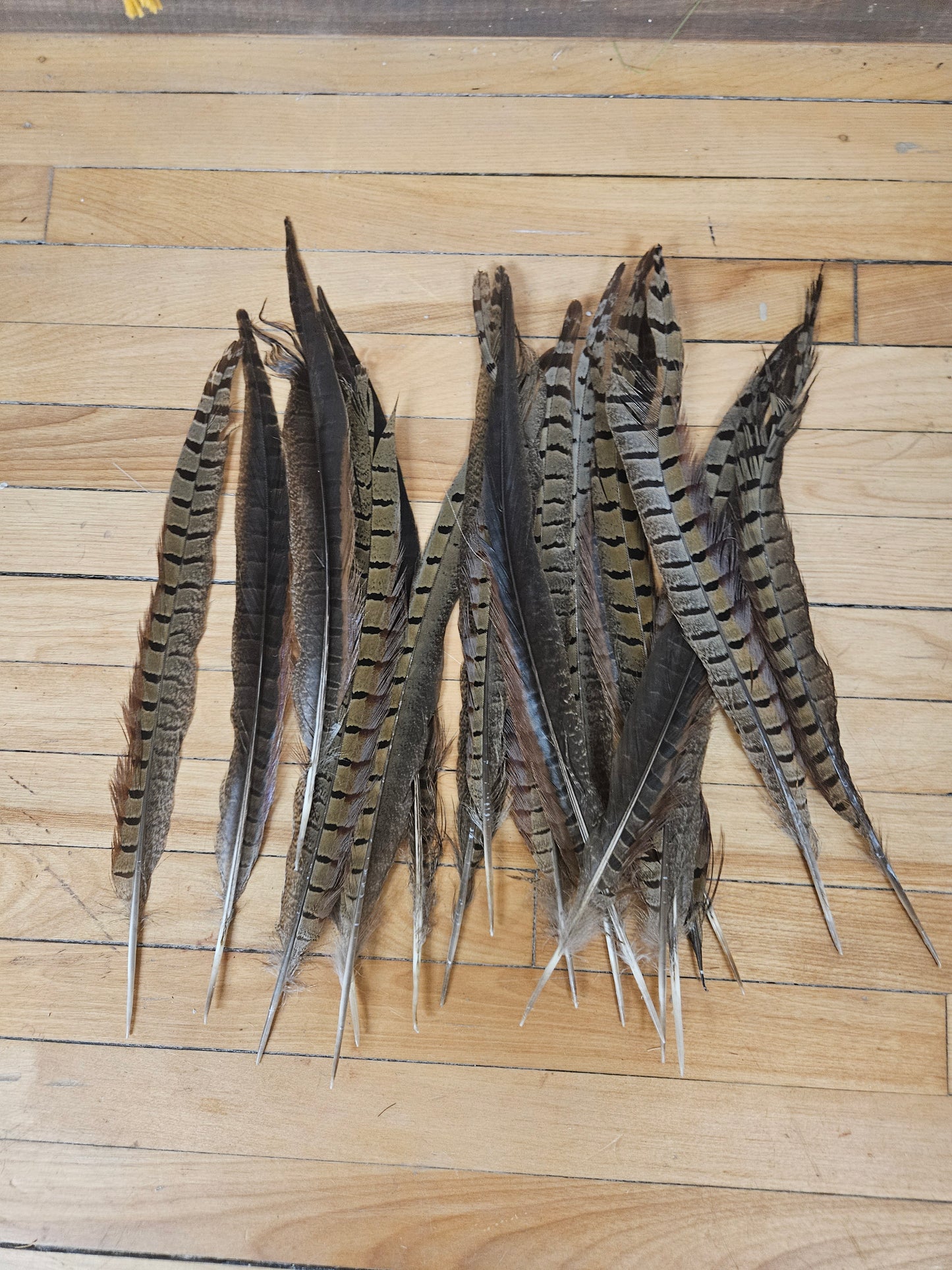 #32 Bundle of Feathers