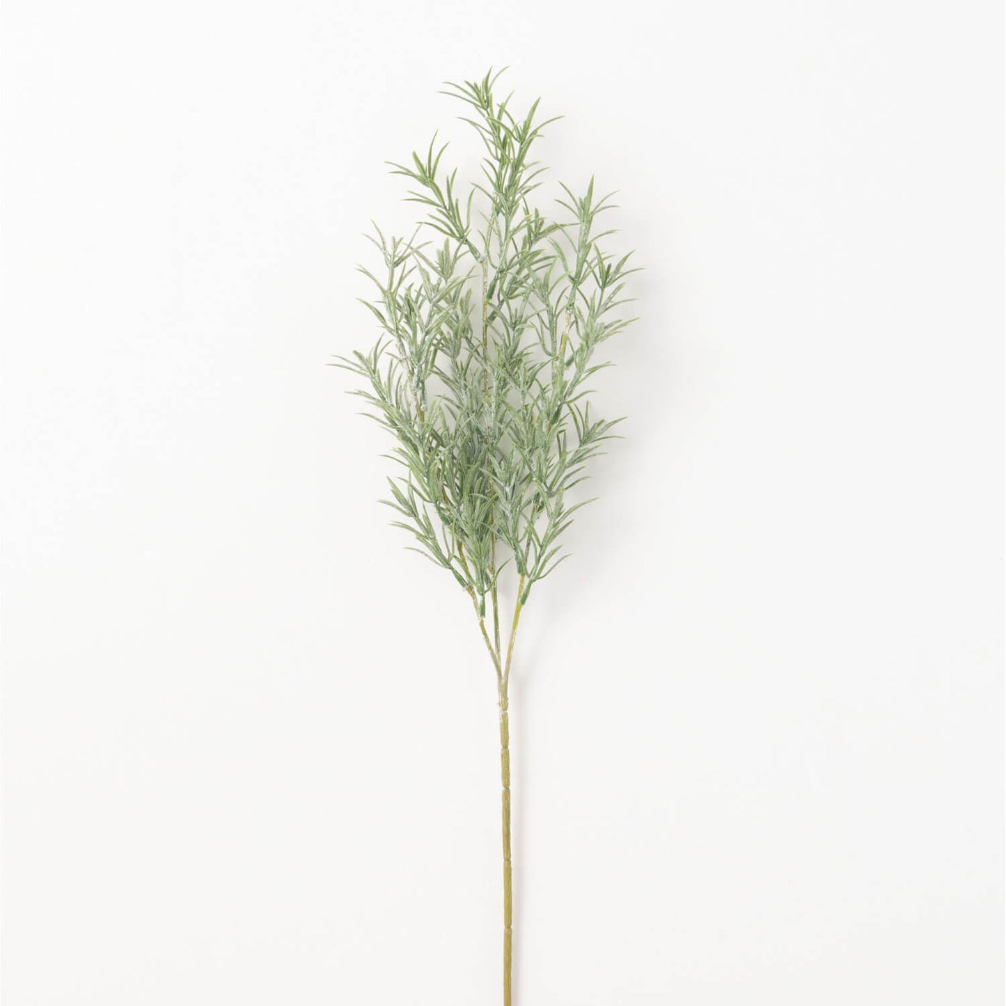 Rosemary Stem