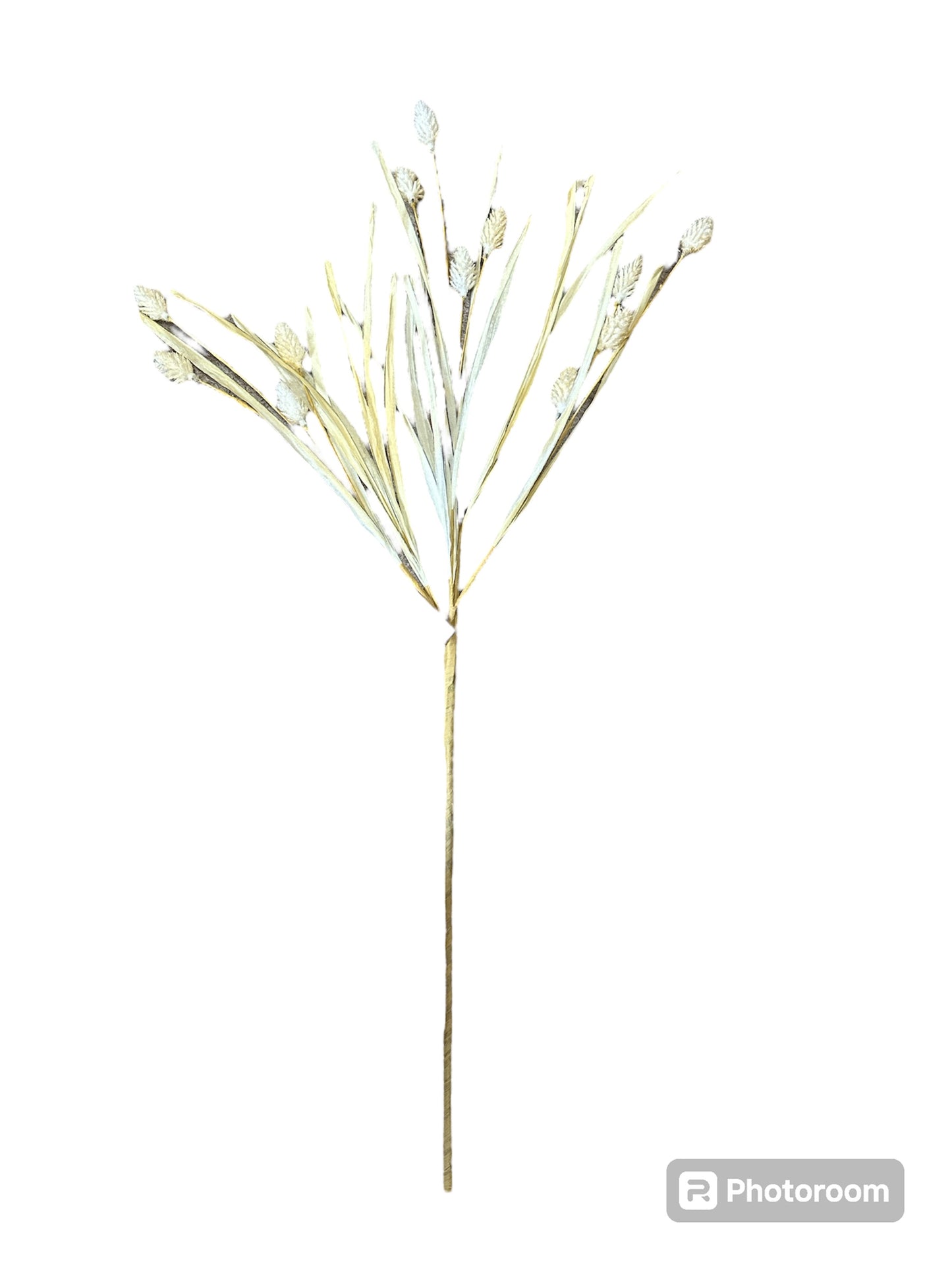 Wild Pod Grass Bush (3 assorted styles)