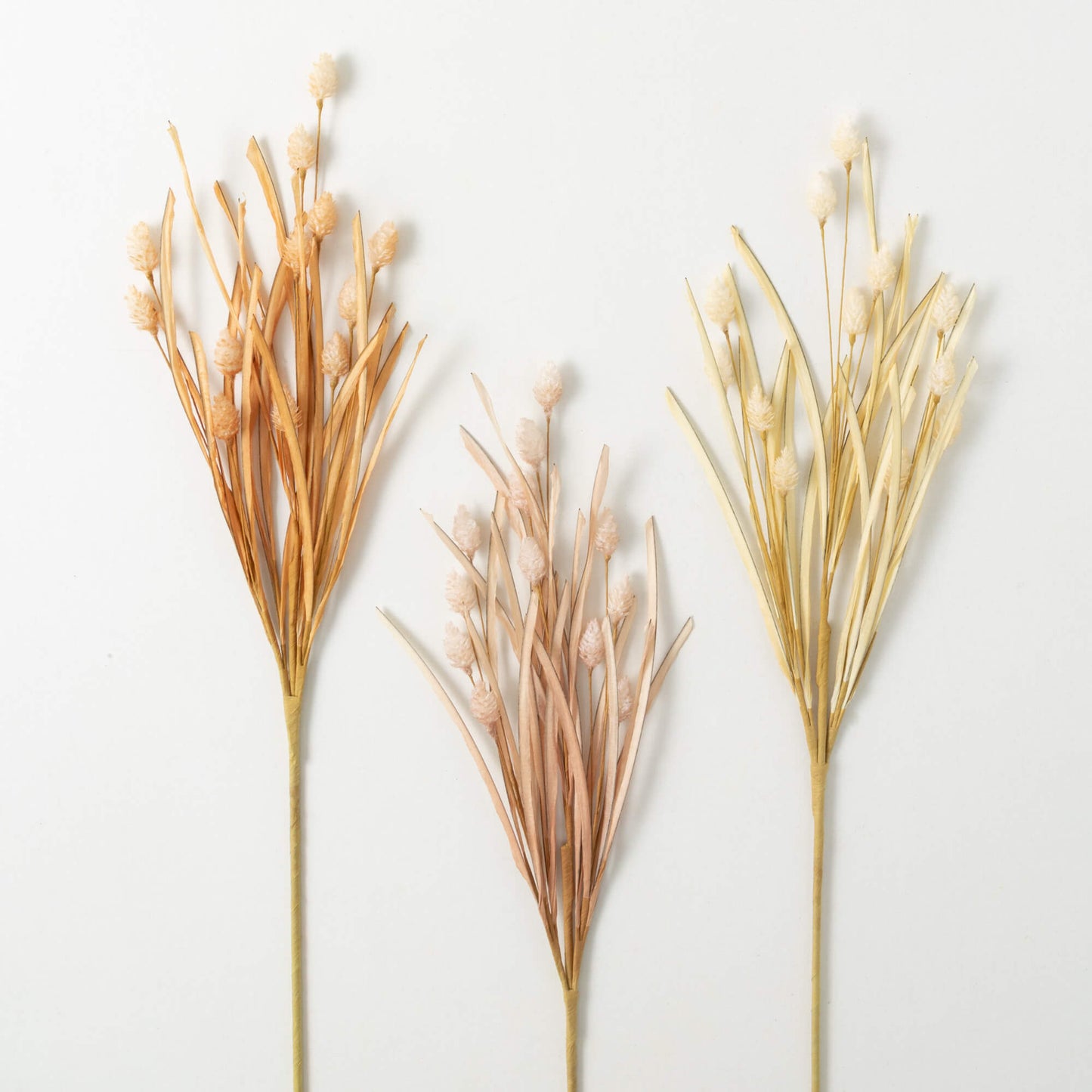 Wild Pod Grass Bush (3 assorted styles)