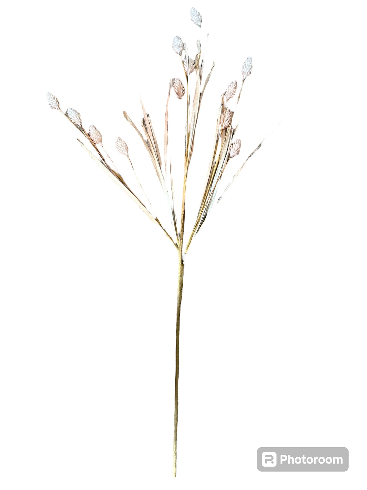 Wild Pod Grass Bush (3 assorted styles)