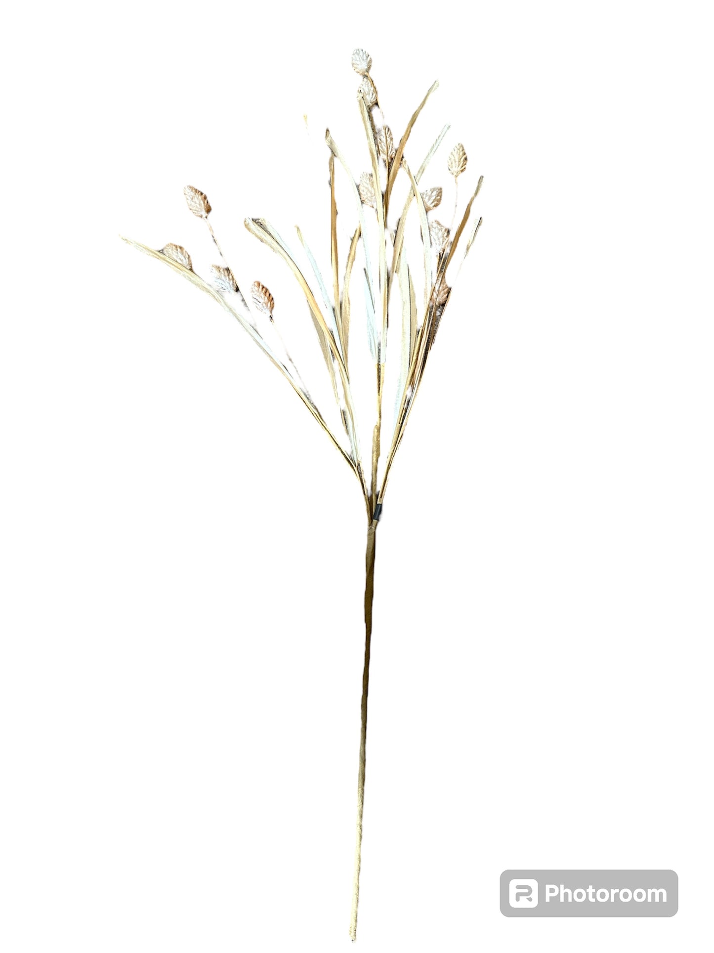 Wild Pod Grass Bush (3 assorted styles)