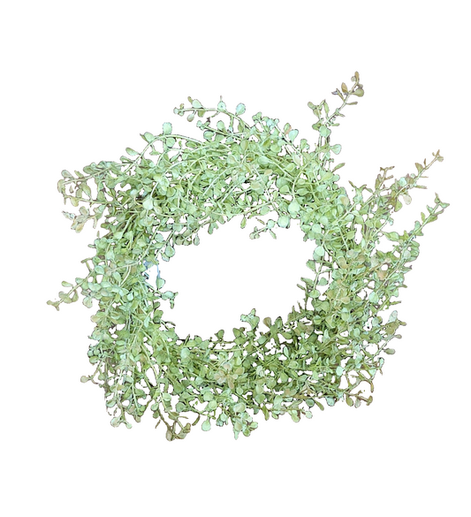 Baby Grass Wreath